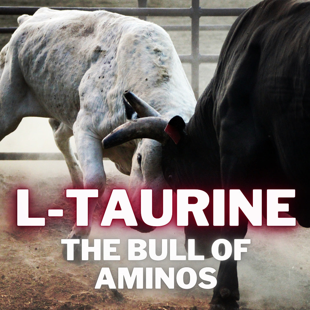 The Bull of Aminos