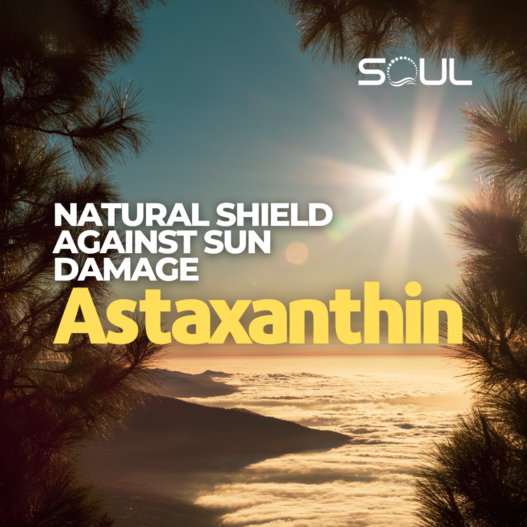 Harness the Power of Astaxanthin: A Natural Shield Against Sun Damage