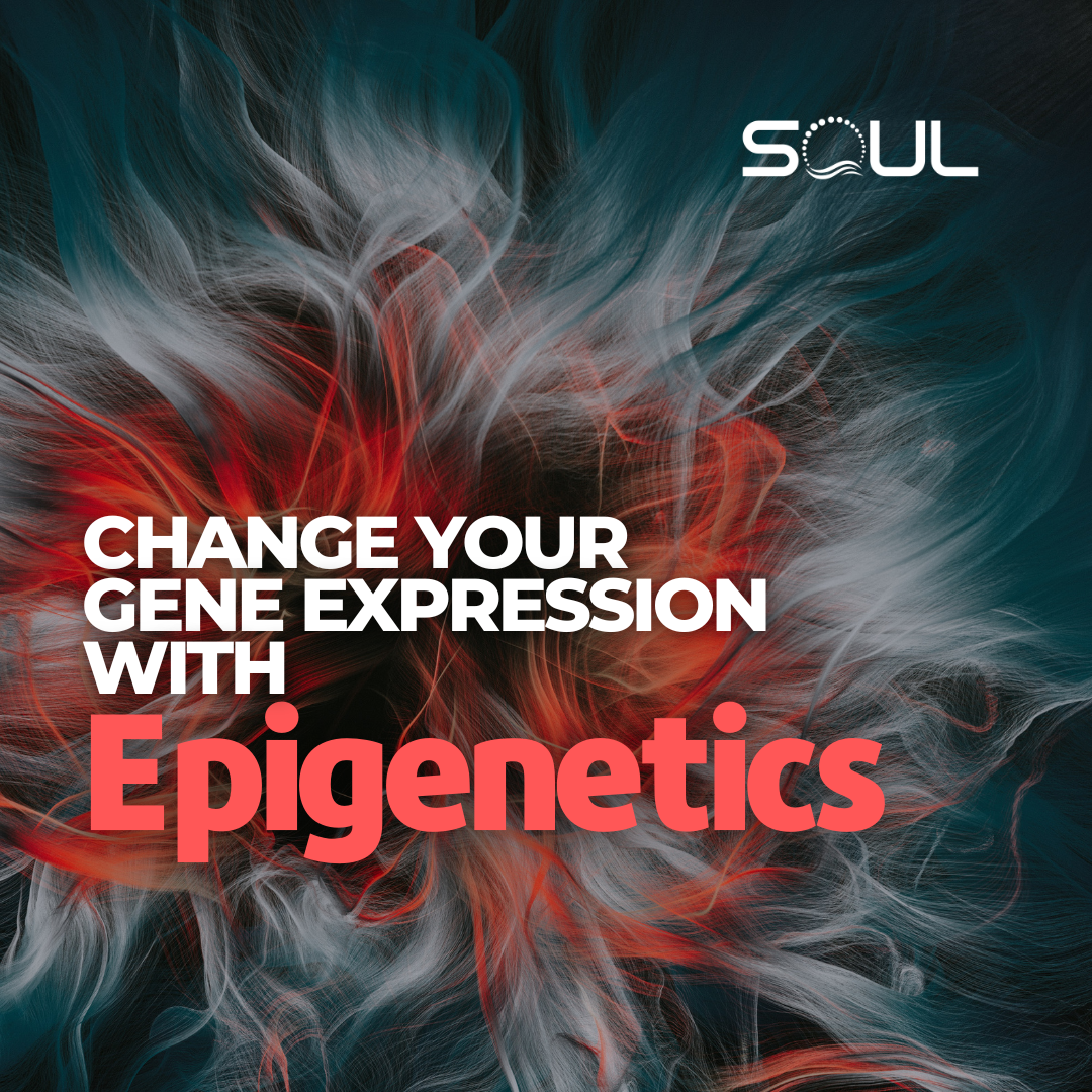 What is Epigenetics and Why is it Important? A Comprehensive Guide