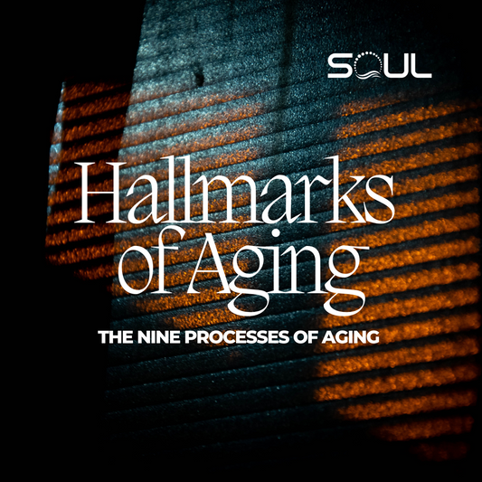 Exploring the Nine Hallmarks of Aging