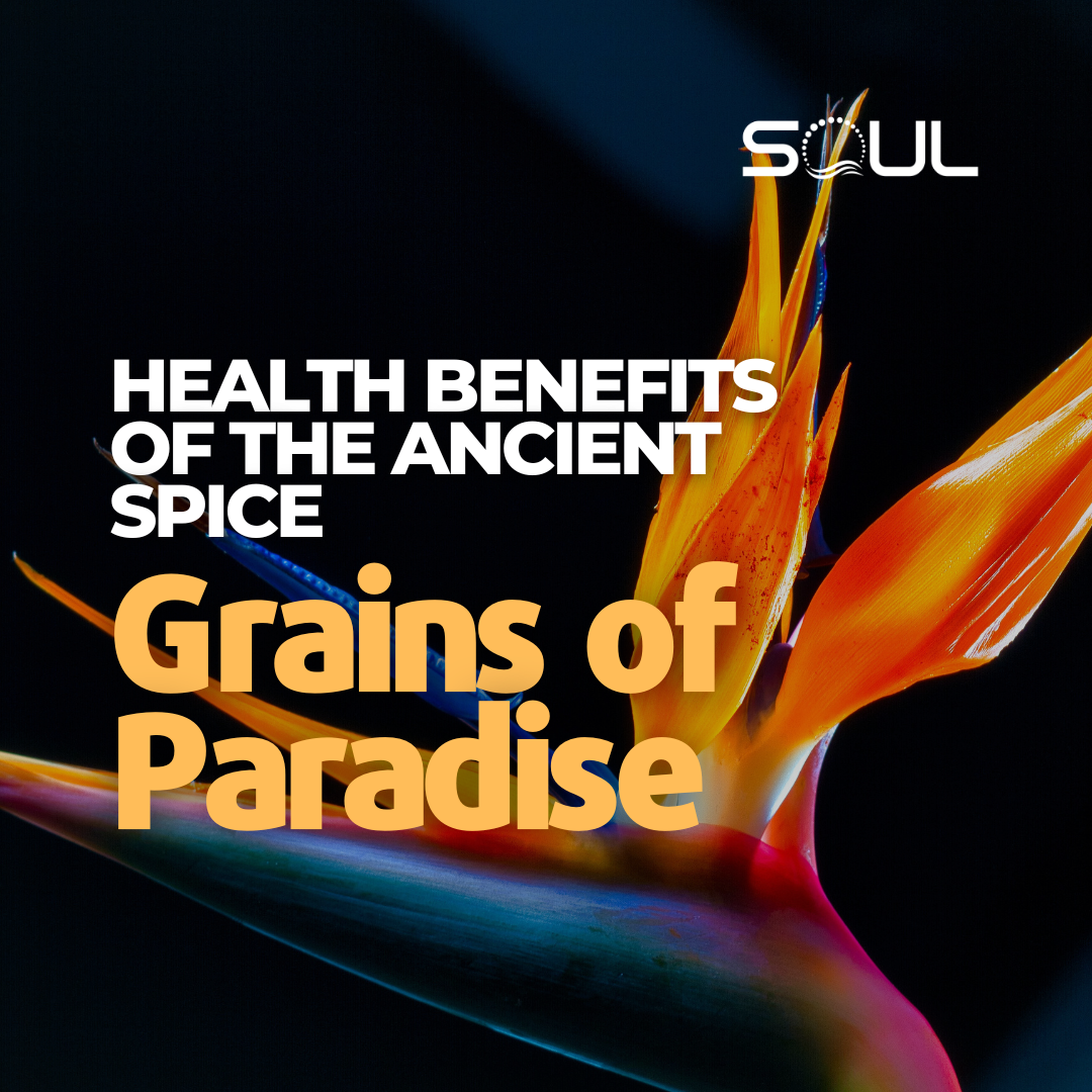 Grains of Paradise: Exploring the Health Benefits of this Ancient Spice